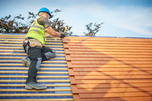 Best Roof Maintenance and Cleaning  in Sharpsville, PA